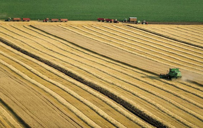 Јавна расправа о Нацрту закона о задругама