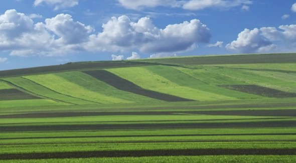 Javni poziv za dokazivanje prava prečeg zakupa poljoprivrednog zemljišta