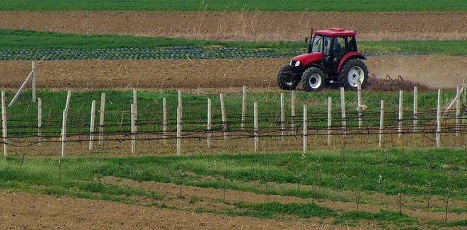 Spisak klanica koje otkupljuju tovljenike za robne rezerve i procedura