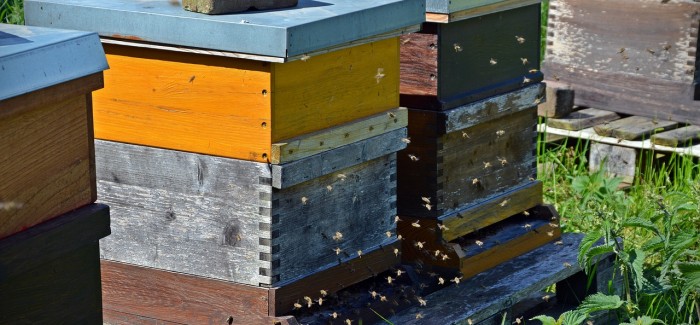 ЈАВНИ ПОЗИВ